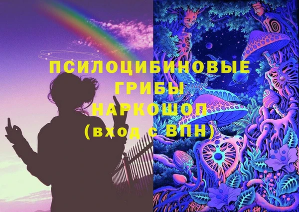 прущие крисы Арсеньев