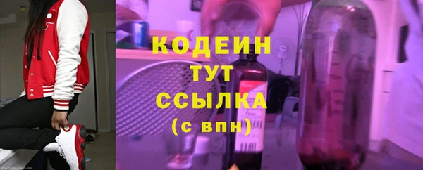 гашик Аркадак