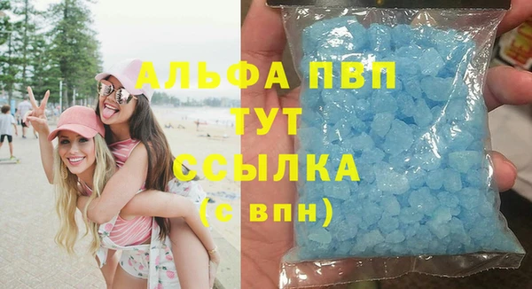 гашик Аркадак
