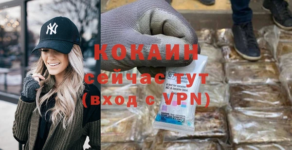 гашик Аркадак