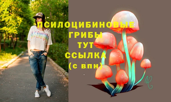 кокаин Алексеевка