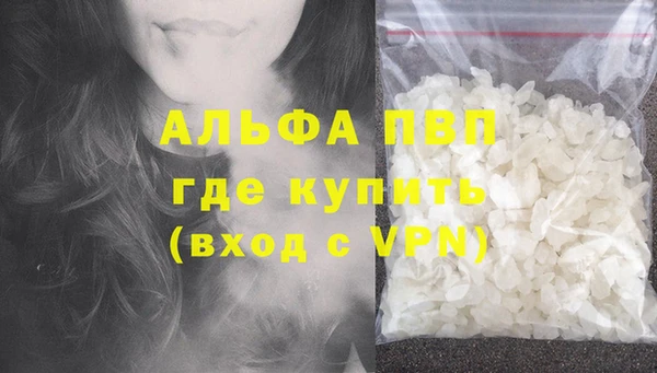 гашик Аркадак