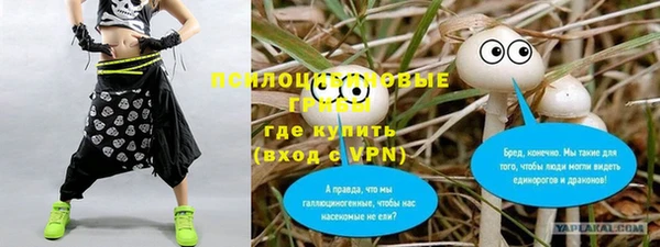 кокаин Алексеевка