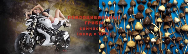 кокаин колумбия Алзамай
