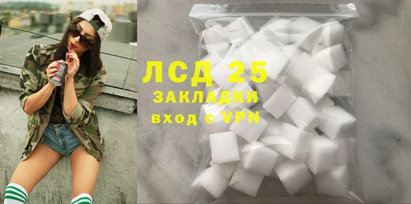 гашик Аркадак