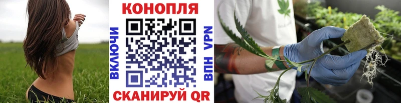 Бошки Шишки Bruce Banner Льгов